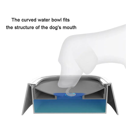 Dog Drinking Water Bowls